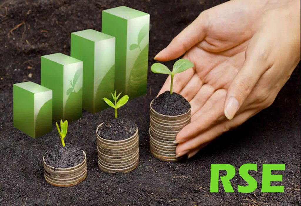 La Responsabilité Sociétales des Entreprises (RSE) dans le secteur financier
