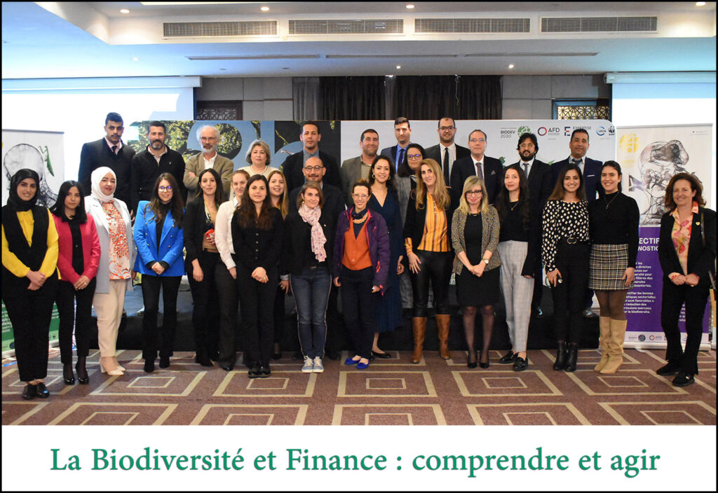 Biodiversité et finance : comprendre et agir